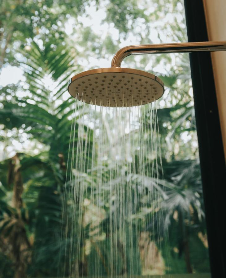 Ambre & Epices Jungle Hotel & Spa トゥルム エクステリア 写真