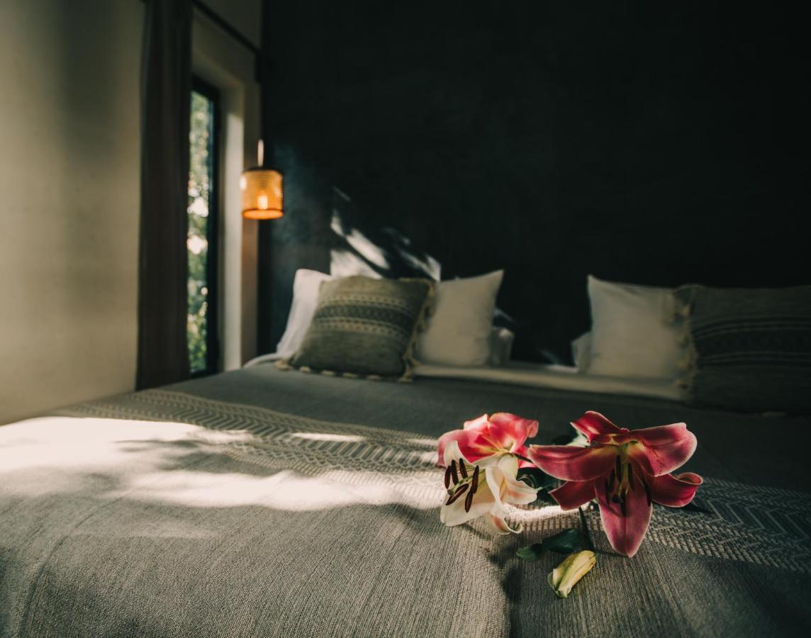 Ambre & Epices Jungle Hotel & Spa トゥルム エクステリア 写真